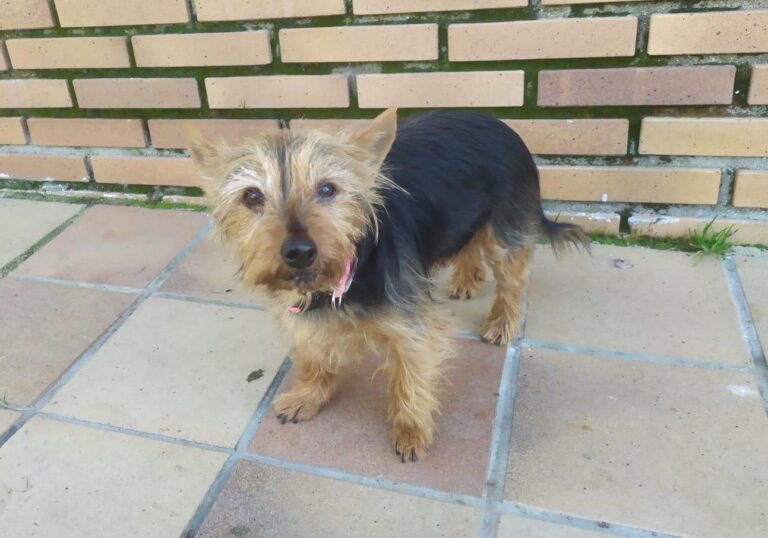 multimedia-foto87588-501-1