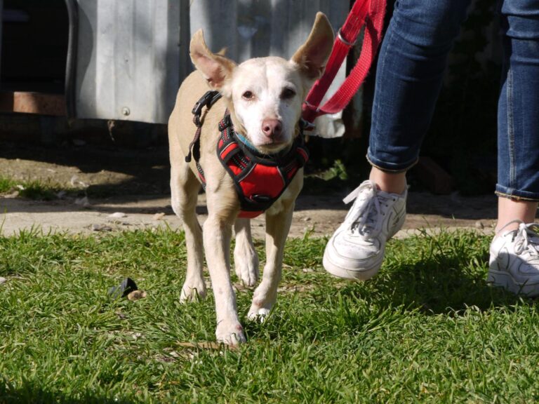 multimedia-foto87591-511-1