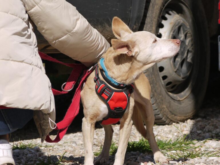 multimedia-foto87593-512-1