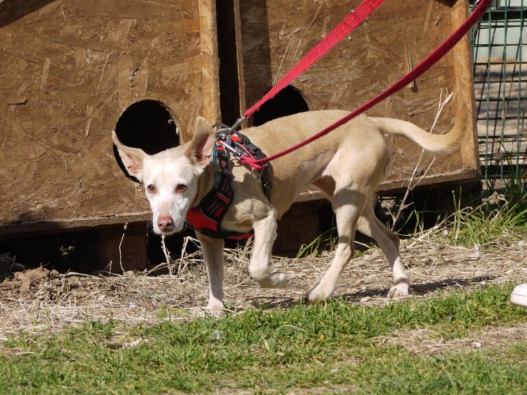 multimedia-foto87594-512-1