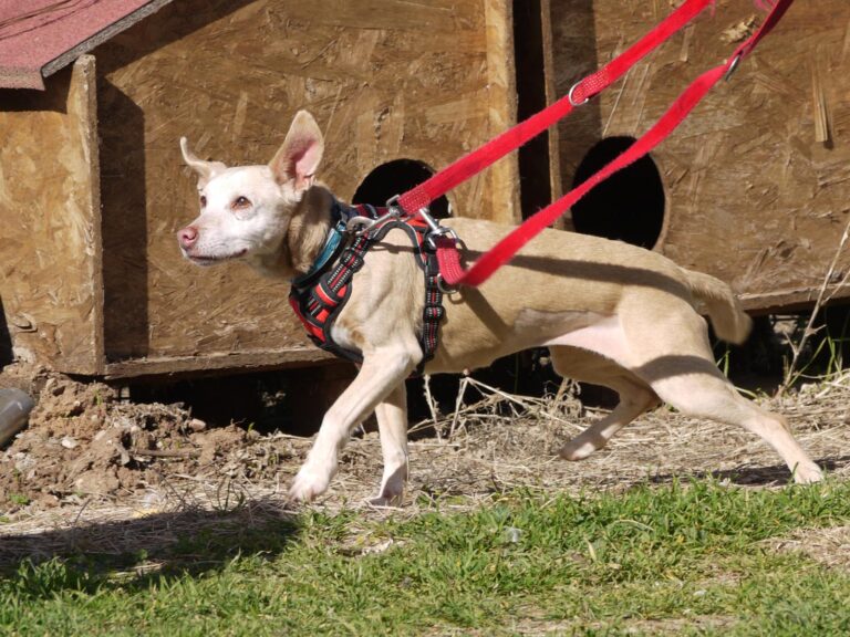 multimedia-foto87595-512-1