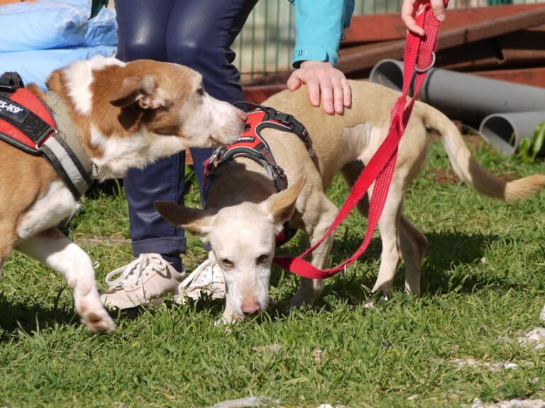 multimedia-foto87596-512-1