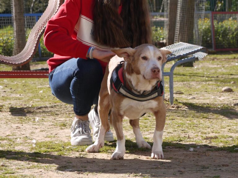 multimedia-foto87602-905-1