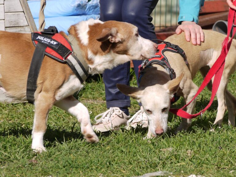 multimedia-foto87604-905-1