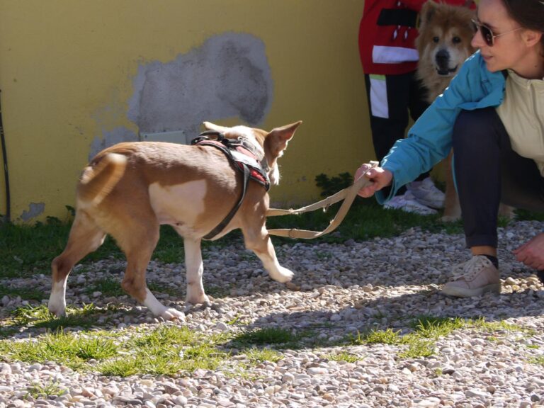 multimedia-foto87605-905-1