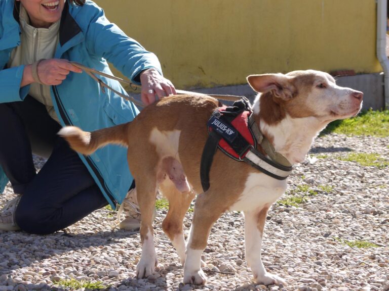 multimedia-foto87607-906-1