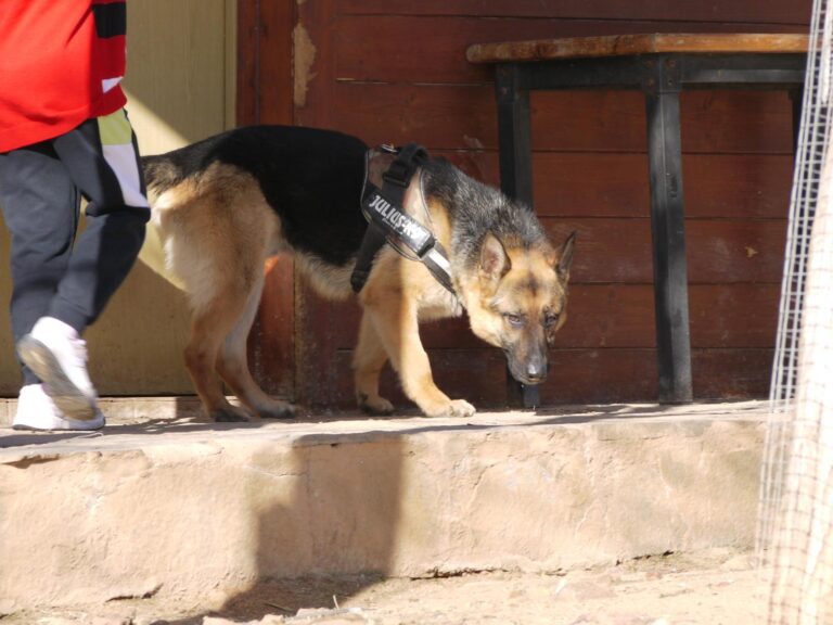 multimedia-foto87611-781-1