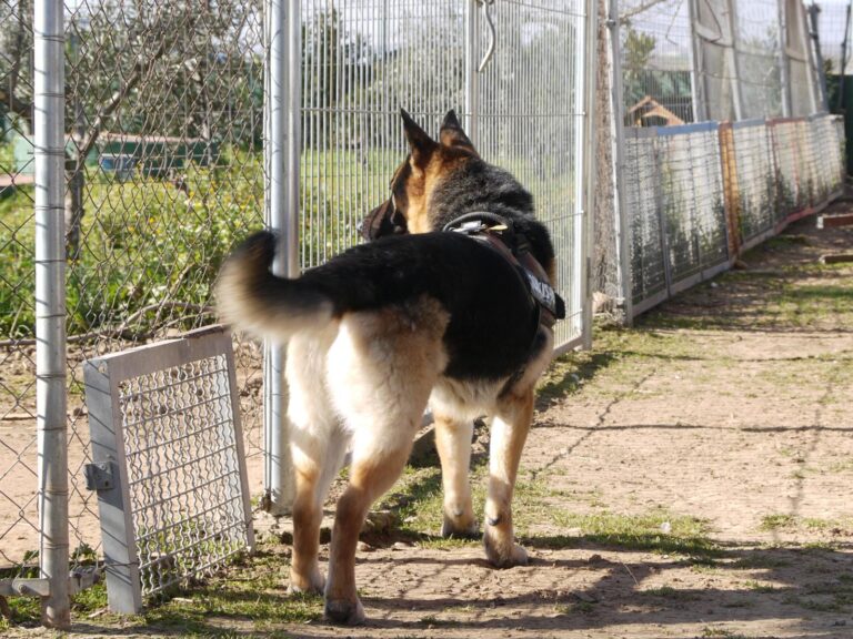 multimedia-foto87613-782-1