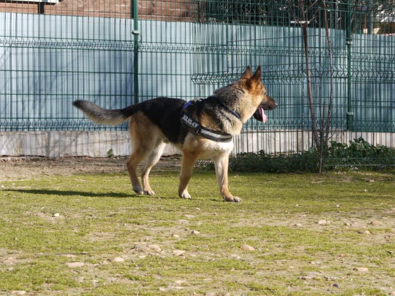 multimedia-foto87614-782-1