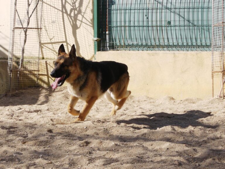 multimedia-foto87615-782-1