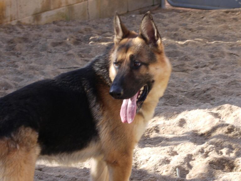 multimedia-foto87616-782-1