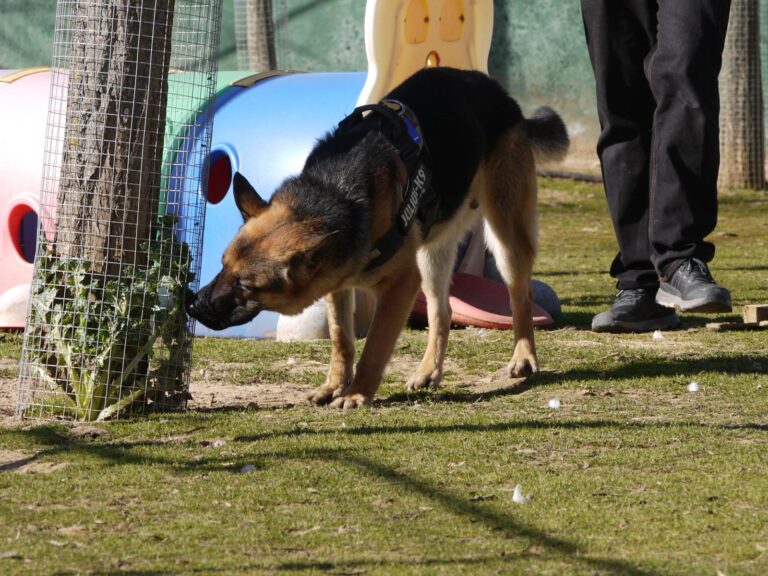 multimedia-foto87617-783-1