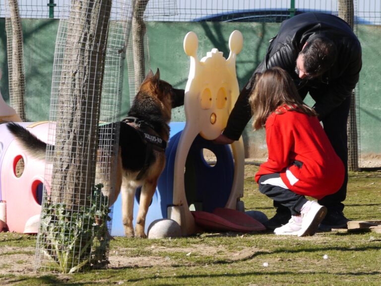 multimedia-foto87618-783-1