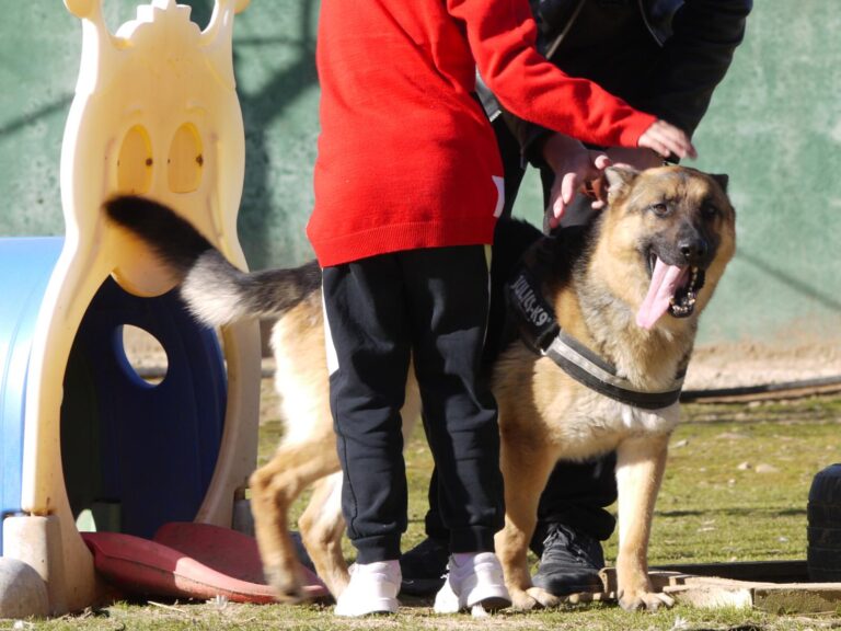 multimedia-foto87619-783-1