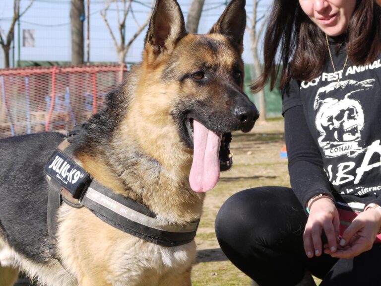 multimedia-foto87620-783-1