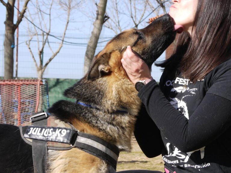 multimedia-foto87621-784-1