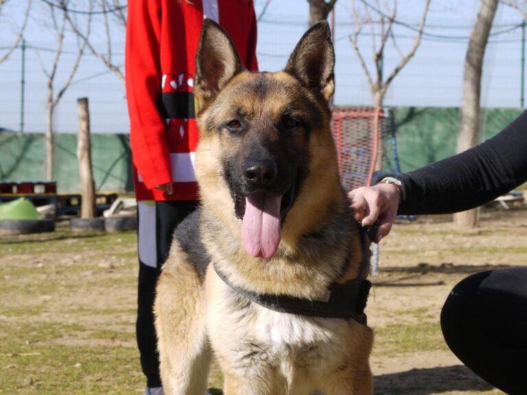 multimedia-foto87622-784-1