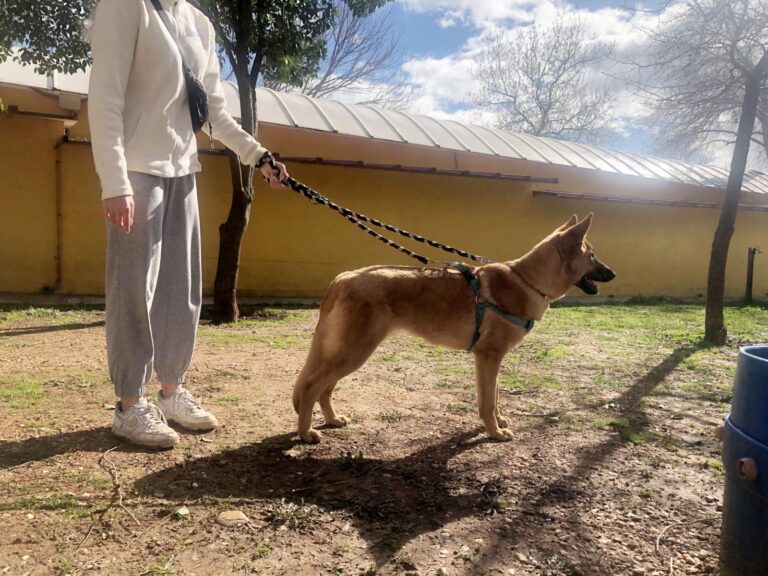 multimedia-foto87629-442-1