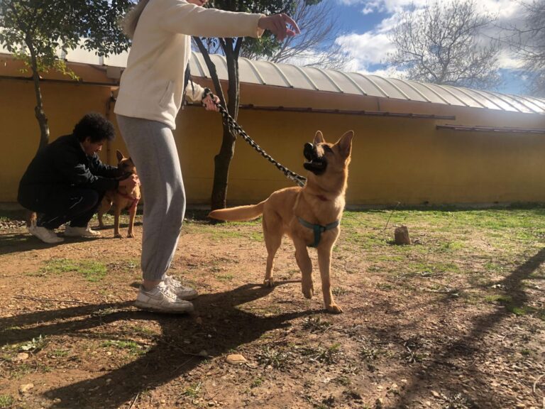 multimedia-foto87630-443-1