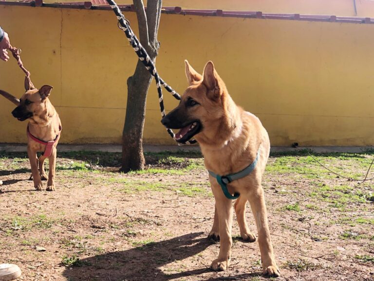 multimedia-foto87631-443-1