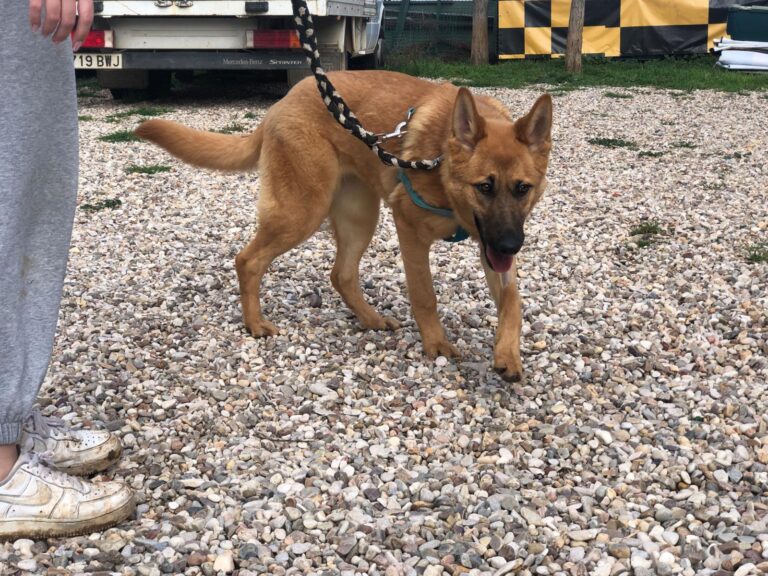 multimedia-foto87632-443-1