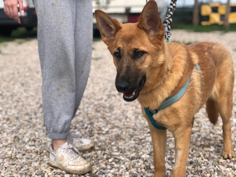 multimedia-foto87633-444-1