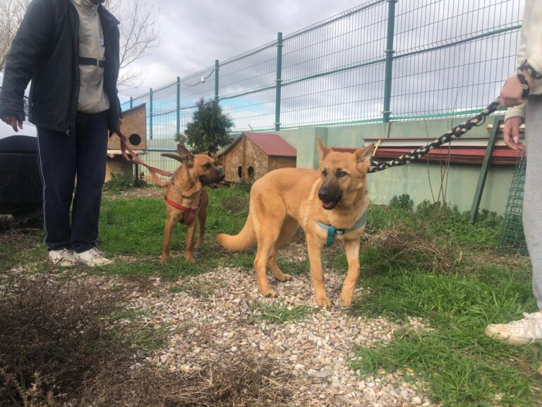 multimedia-foto87634-444-1