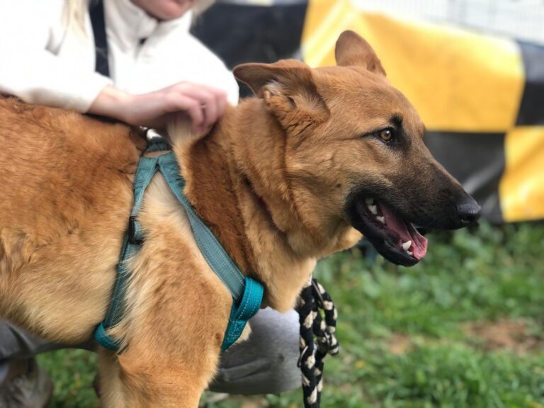 multimedia-foto87635-444-1