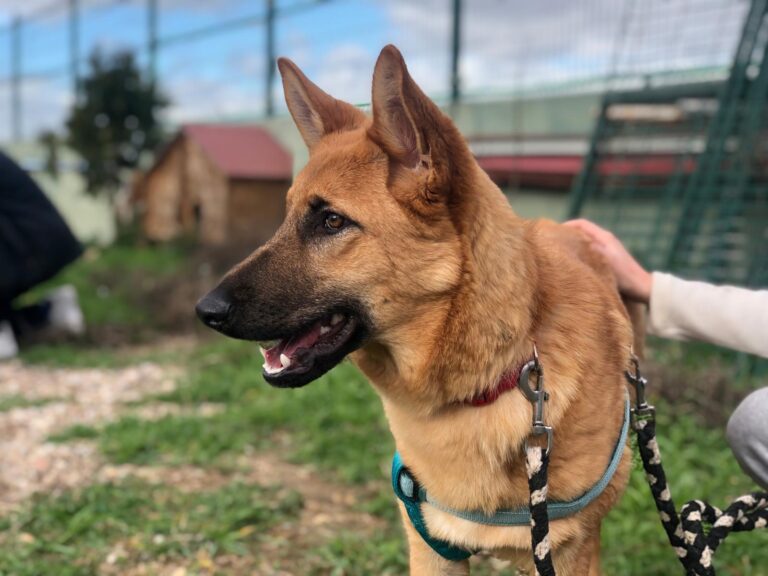 multimedia-foto87636-444-1