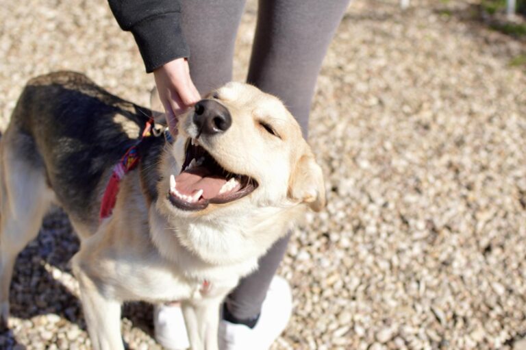 multimedia-foto87639-835-1