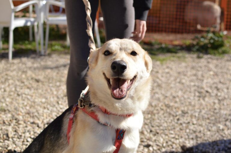 multimedia-foto87640-835-1