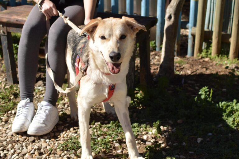 multimedia-foto87641-836-1