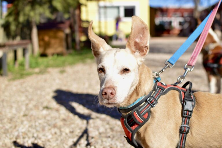 multimedia-foto87642-991-1