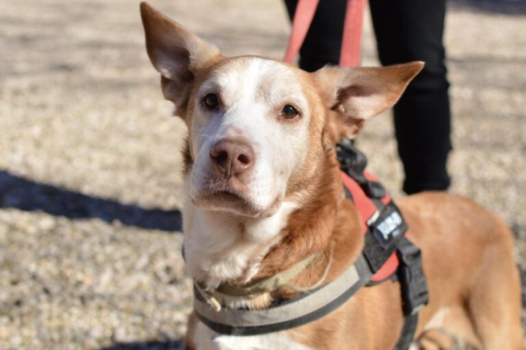 multimedia-foto87643-16-1