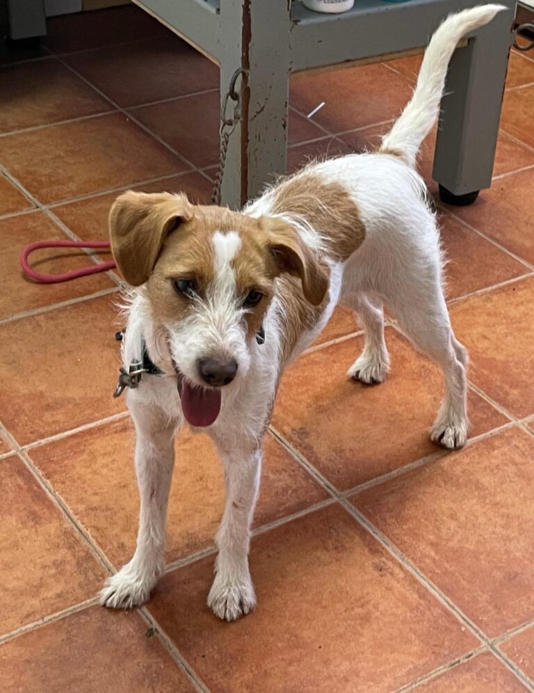 multimedia-foto87644-653-1