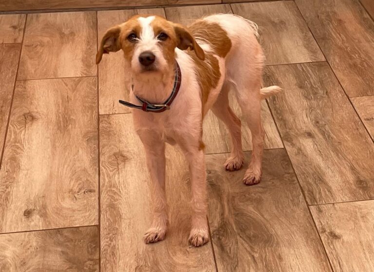 multimedia-foto87645-653-1