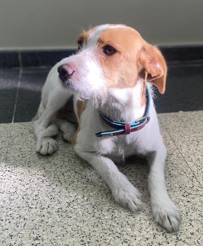 multimedia-foto87647-654-1