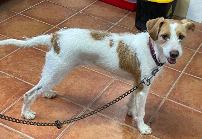 multimedia-foto87648-654-1