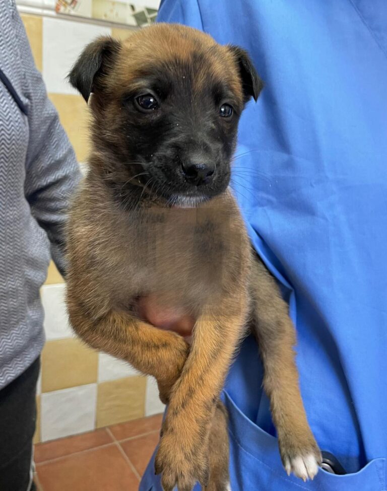 multimedia-foto87651-182-1