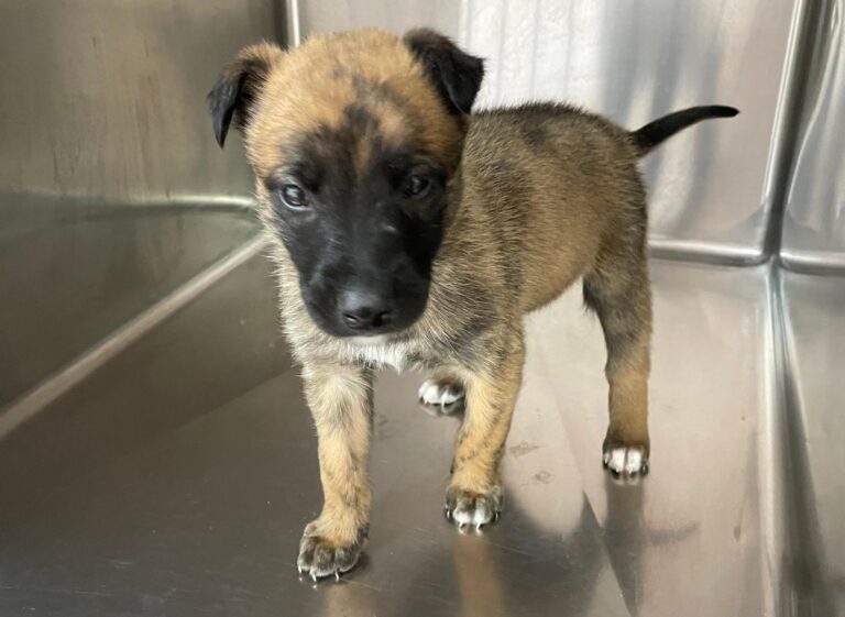 multimedia-foto87653-183-1