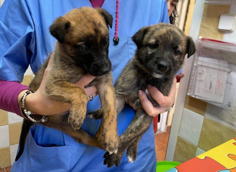 multimedia-foto87655-183-1