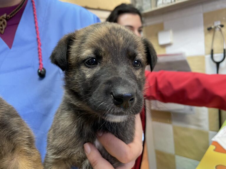 multimedia-foto87658-234-1