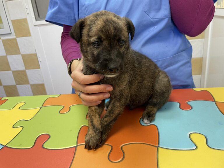 multimedia-foto87659-234-1