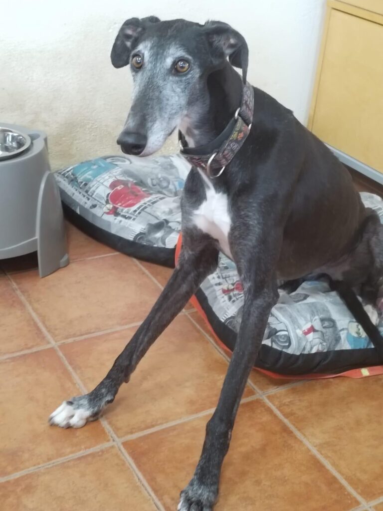 multimedia-foto87686-986-1