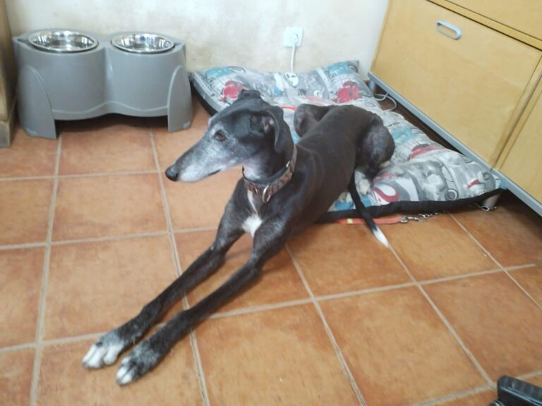 multimedia-foto87687-987-1