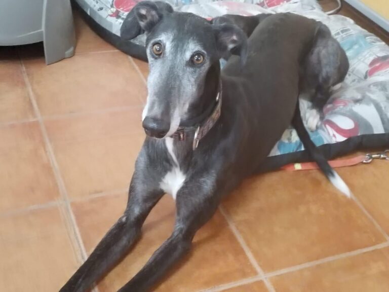 multimedia-foto87688-987-1