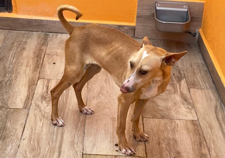 multimedia-foto87693-180-1