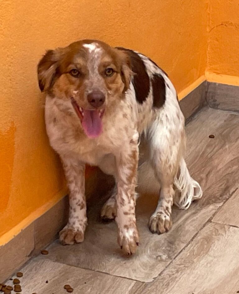 multimedia-foto87698-579-1