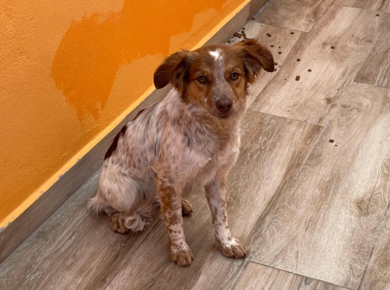 multimedia-foto87699-579-1