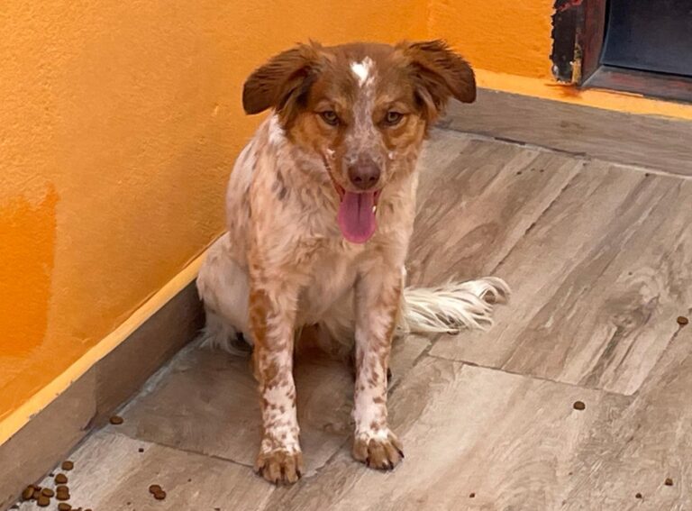 multimedia-foto87700-579-1